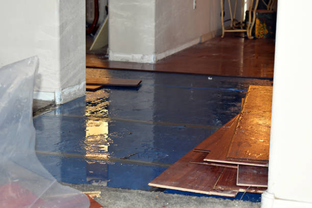 Professional Storm Water Damage Restoration technician working in Alger, OH